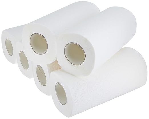 Careswipe 2 Ply Kitchen Tissue Paper Roll 6 Roll Per Packet 8 Packet in 1 Carton Box - Direct Supply for Hotels, Office, Retail, Bulk Wholesale Supply