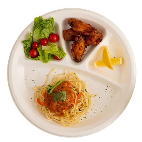 Careswipe 4 Compartment Disposable Plate 11 inches 10 pcs in 1 Master Box 50 Packets Per Carton Total 500 Pcs
