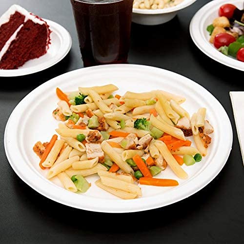 Careswipe Disposable Round Plates 10 inches 15 pcs in 1 Mater Box 50 Packets Per Carton Total 750 Pcs