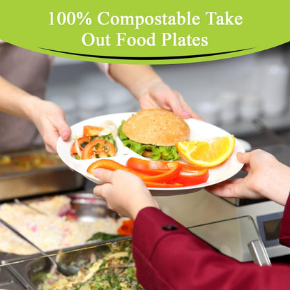 Careswipe 3 Compartment Disposable Plates 10 inches 15 pcs in 1 Master Box 50 Packets per Carton Total 750 Pcs