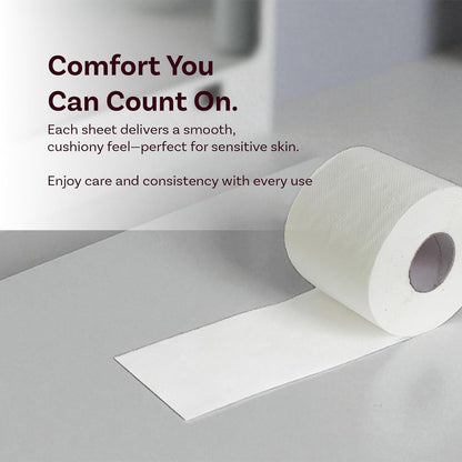 Careswipe 2Ply Toilet Tissue Paper Roll 6 Roll Per Packet 20 Packet in 1 Carton Box- Direct Supply for Hotels, Office, Retail, Bulk Wholesale Supply