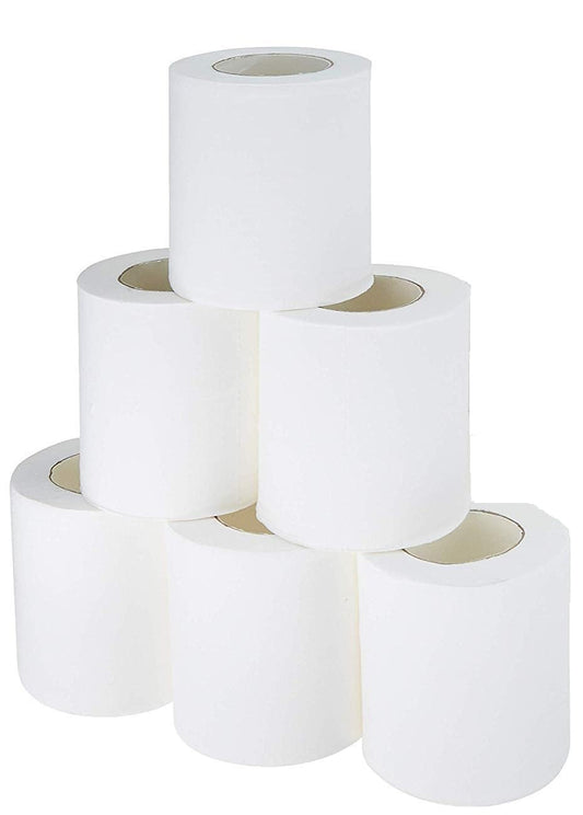 Careswipe 2Ply Toilet Tissue Paper Roll 6 Roll Per Packet 20 Packet in 1 Carton Box- Direct Supply for Hotels, Office, Retail, Bulk Wholesale Supply